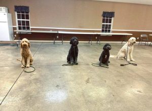Group Classes